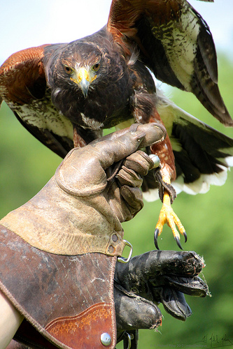 Assignments: Beating the principal agent