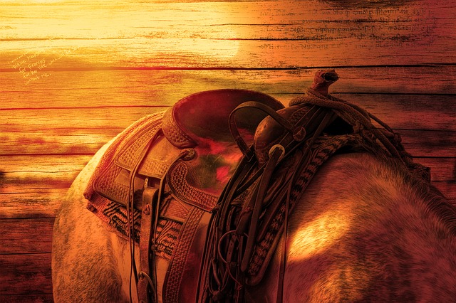 Dead horses: 5 reasons to ride