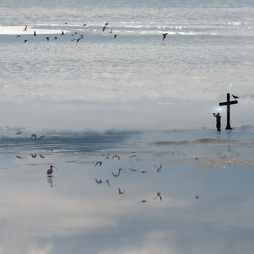 Single point of truth